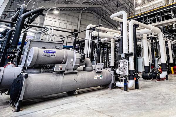 AES plant